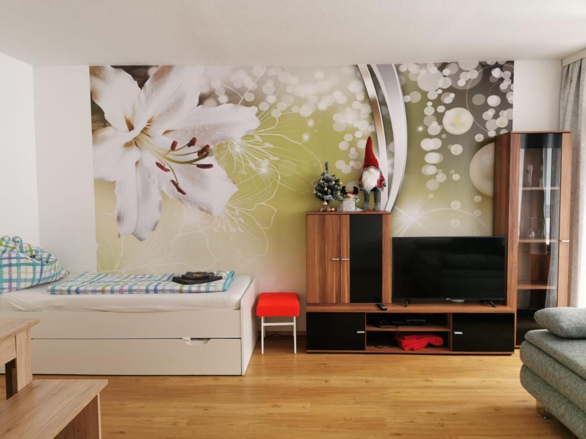 Apartment Fewo Irdning Pichlarn Aigen im Ennstal Zewnętrze zdjęcie