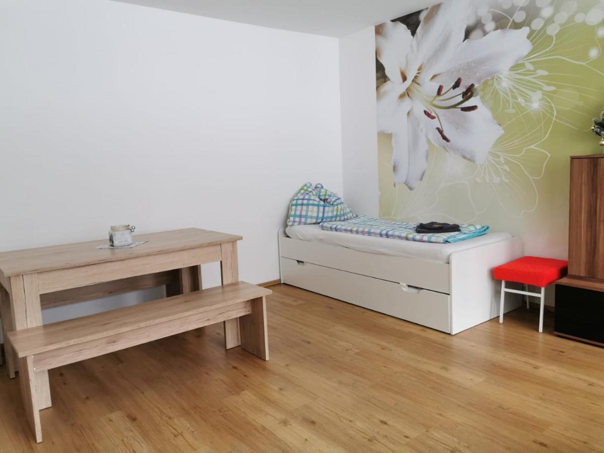 Apartment Fewo Irdning Pichlarn Aigen im Ennstal Zewnętrze zdjęcie