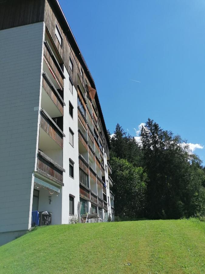 Apartment Fewo Irdning Pichlarn Aigen im Ennstal Zewnętrze zdjęcie