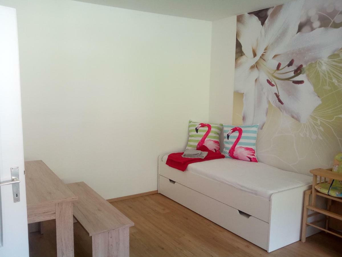 Apartment Fewo Irdning Pichlarn Aigen im Ennstal Zewnętrze zdjęcie