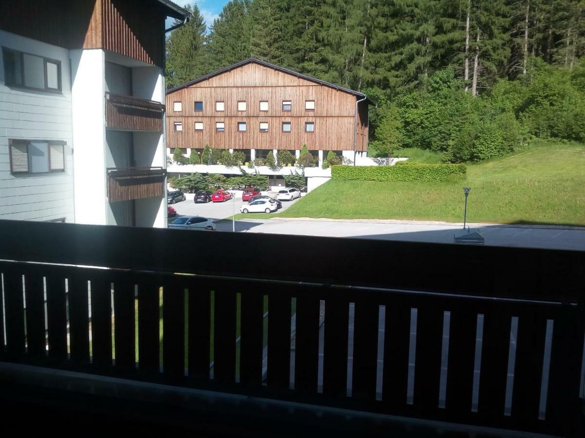 Apartment Fewo Irdning Pichlarn Aigen im Ennstal Zewnętrze zdjęcie