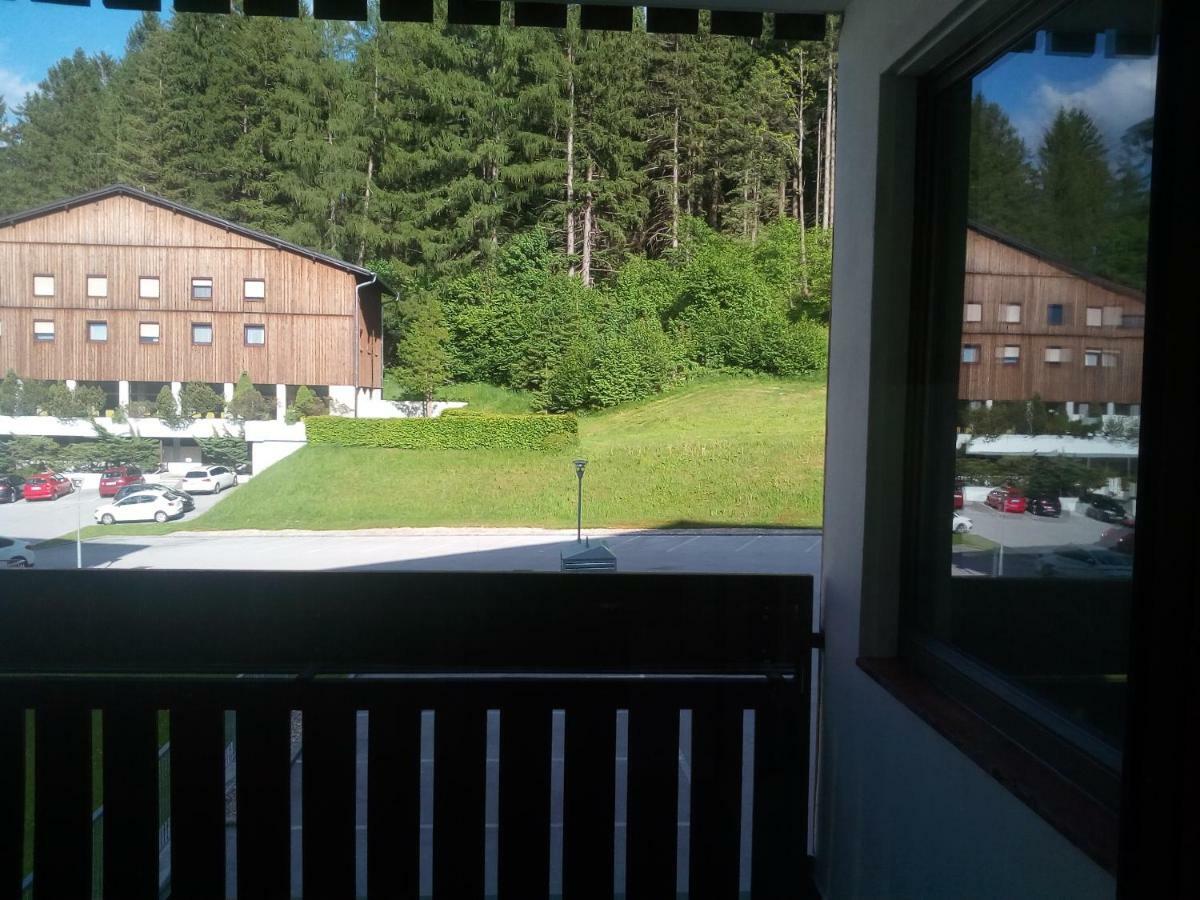 Apartment Fewo Irdning Pichlarn Aigen im Ennstal Zewnętrze zdjęcie